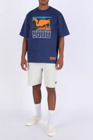 Print T-Shirt in Blue HERON PRESTON